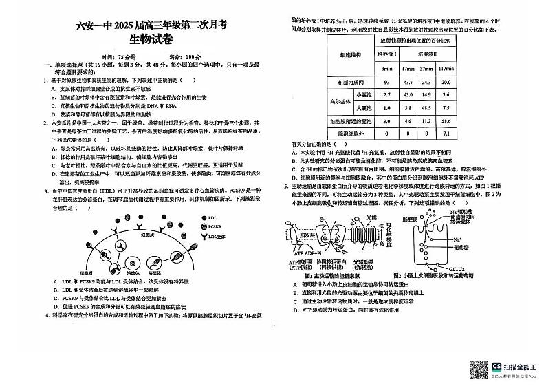 安徽省六安市金安区六安第一中学2024-2025学年高三上学期9月第二次月考生物试题第1页