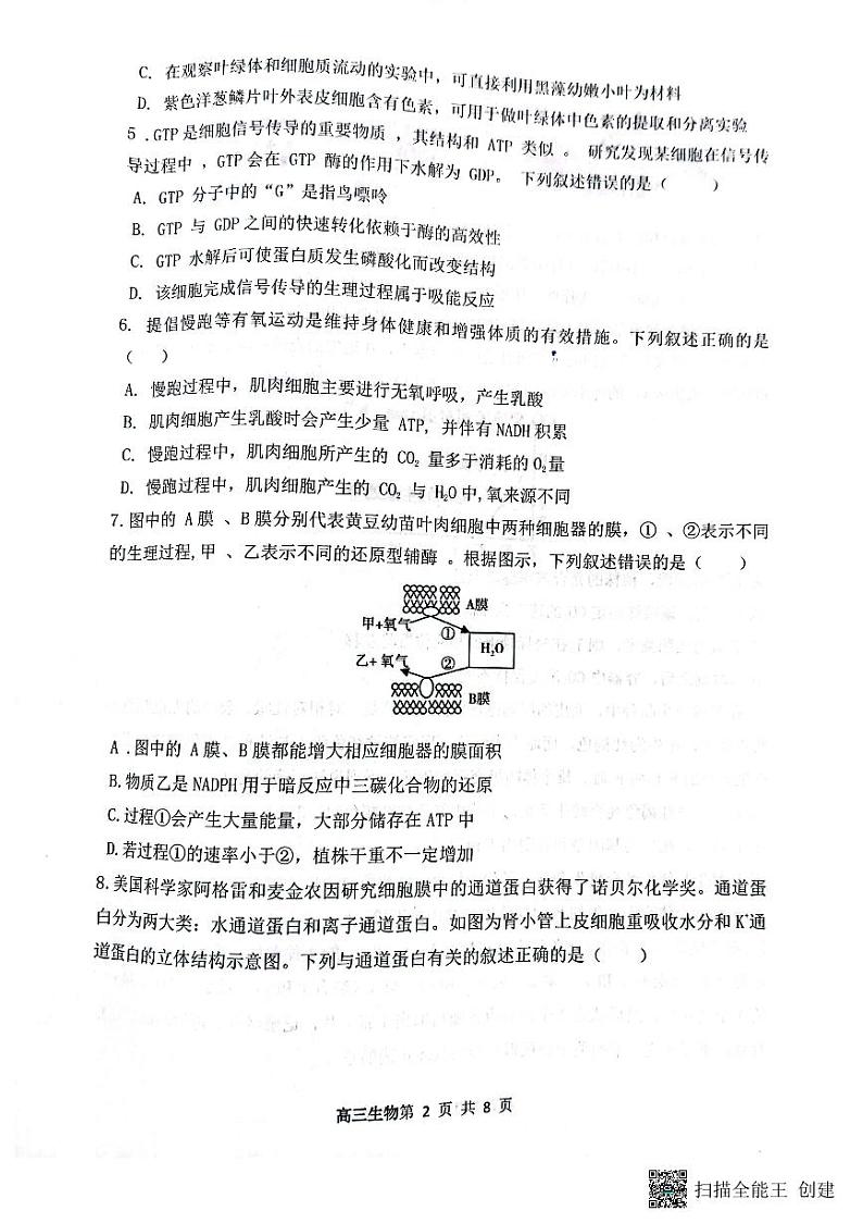 山西省大同市第一中学校2024-2025学年高三上学期9月月考生物第2页