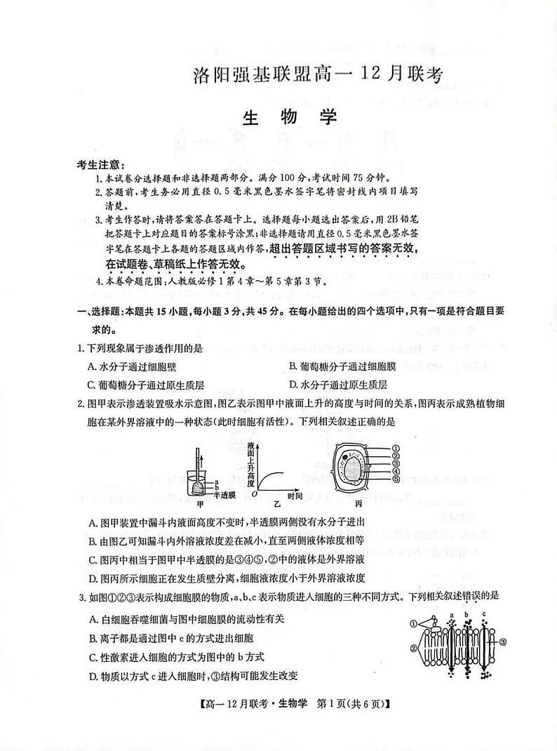 九师联盟洛阳强基联盟2024-2025学年高一上学期12月联考生物试卷及答案第1页