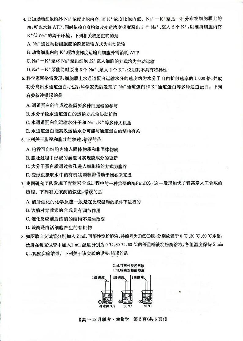 九师联盟洛阳强基联盟2024-2025学年高一上学期12月联考生物试卷及答案第2页