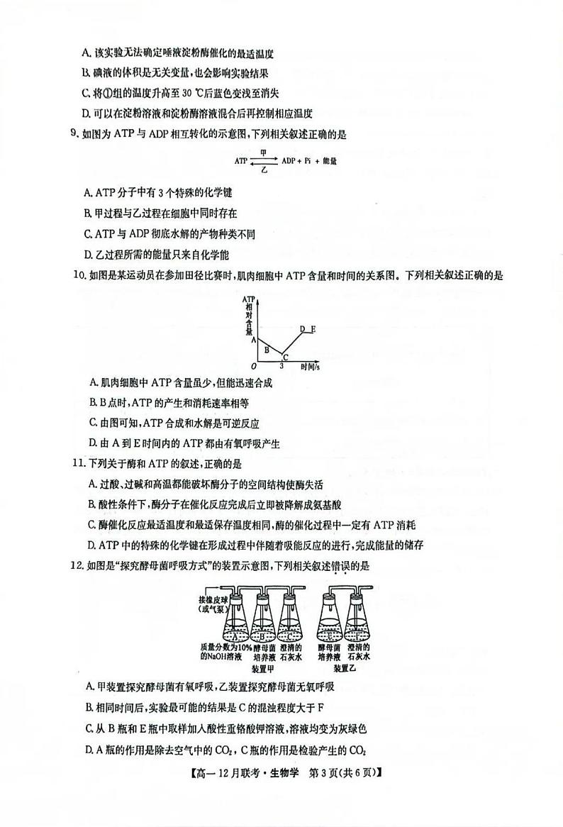 九师联盟洛阳强基联盟2024-2025学年高一上学期12月联考生物试卷及答案第3页