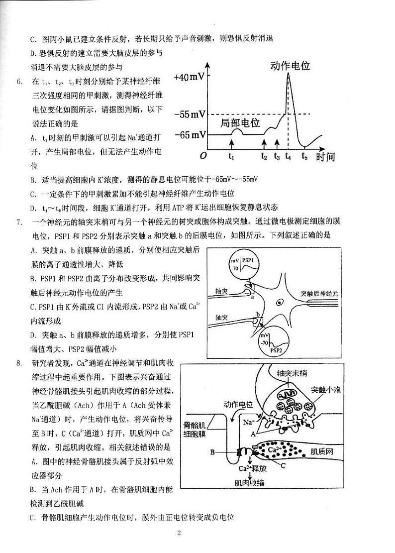 2024北京理工大附中高二（上）12月月考生物试卷（教师版）第2页