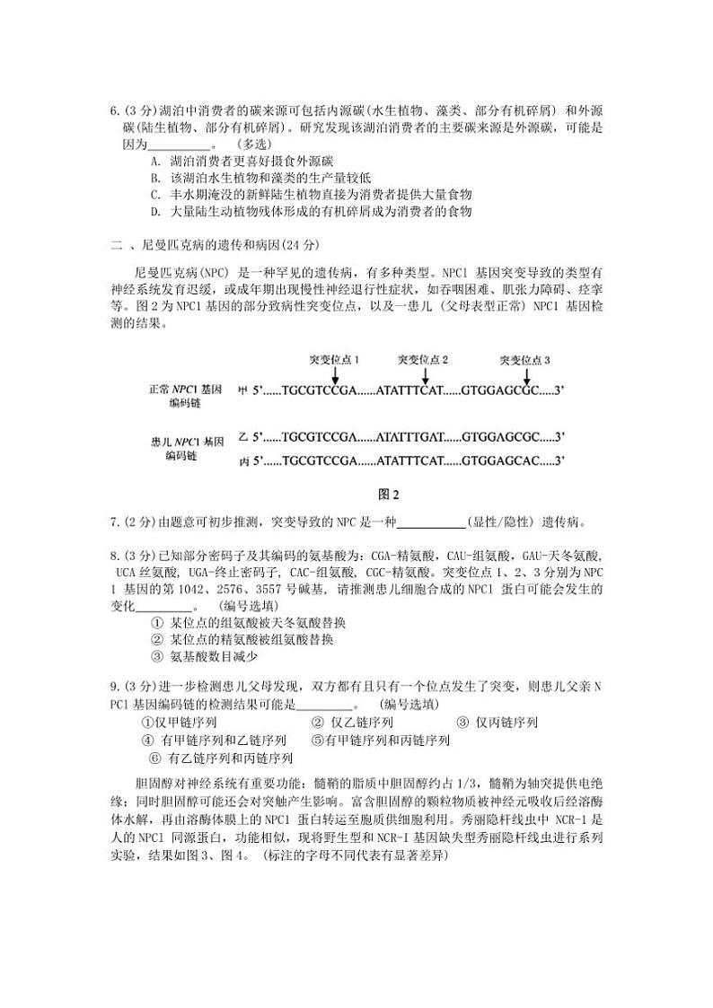 2024～2025学年上海市宝山区高三一模模拟生物试卷(含答案)第2页