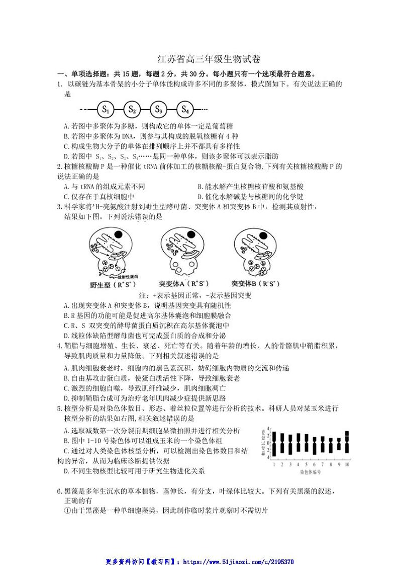 2024～2025学年江苏省百校联考(月考)高三(上)12月月考生物试卷(含答案)第1页