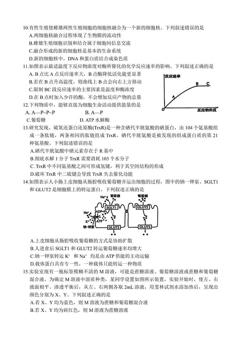 2024～2025学年河南省百强大联考(月考)高一(上)12月大联考(月考)生物试卷(含答案)第3页