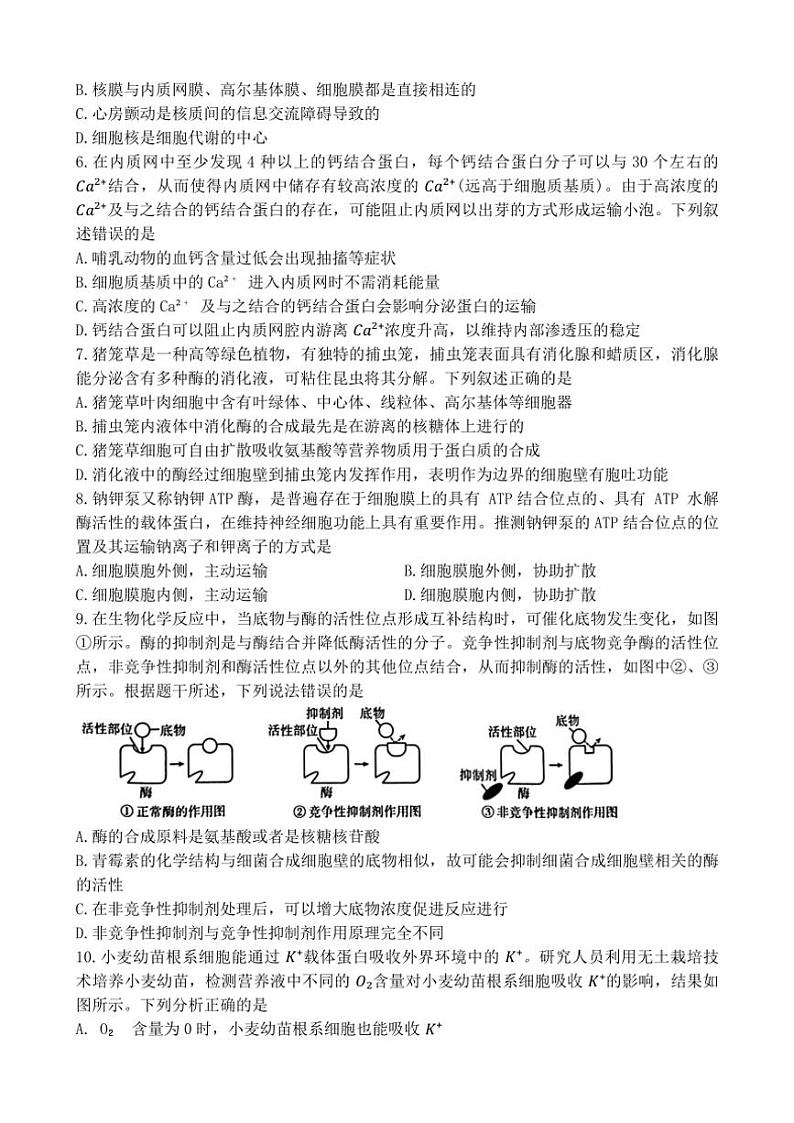 2024～2025学年湖南省名校联盟高一(上)12月联考(月考)生物试卷(含解析)第2页