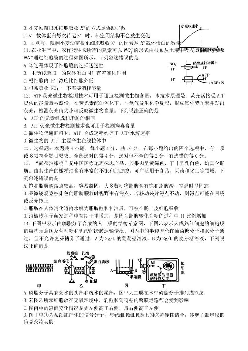 2024～2025学年湖南省名校联盟高一(上)12月联考(月考)生物试卷(含解析)第3页