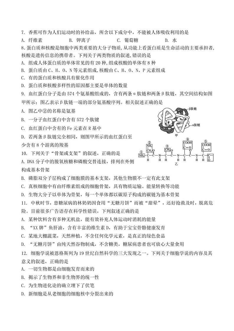 2024～2025学年江苏省扬州市八校高一(上)12月学情检测试卷生物(含答案)第2页