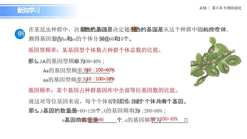 6.3.1 种群基因组成的变化-课件第7页