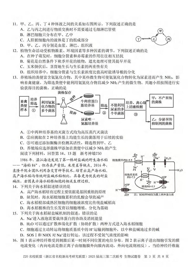 生物丨Z20名校联盟浙江省2025届高三上学期12月第二次联考生物试卷及答案第3页