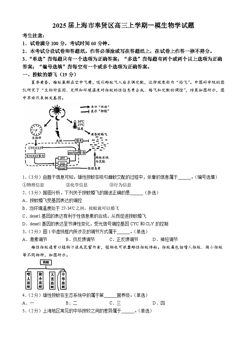 上海市奉贤区2024-2025学年高三上学期一模生物学试题（含答案）第1页
