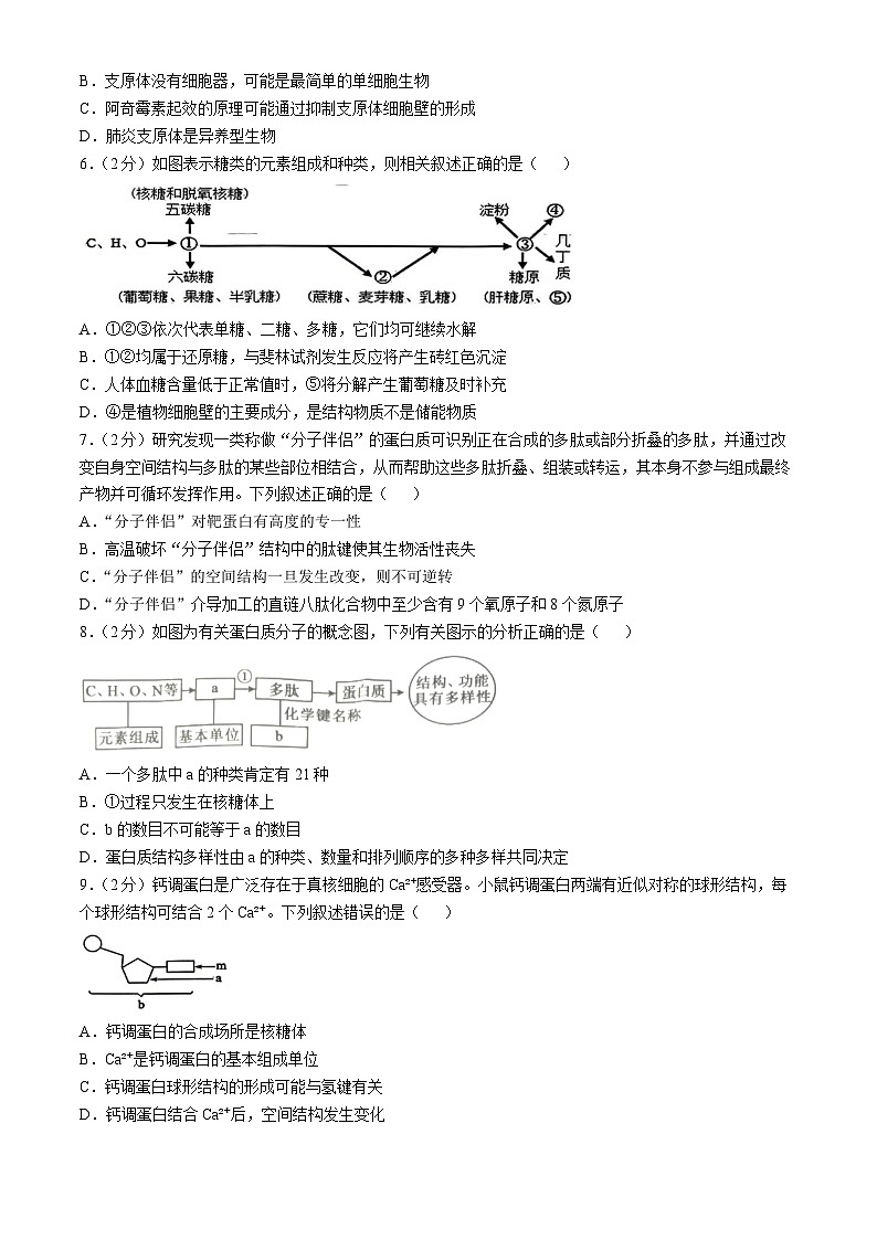 湖北省重点高中智学联盟2024-2025学年高一上学期12月月考生物试题第2页
