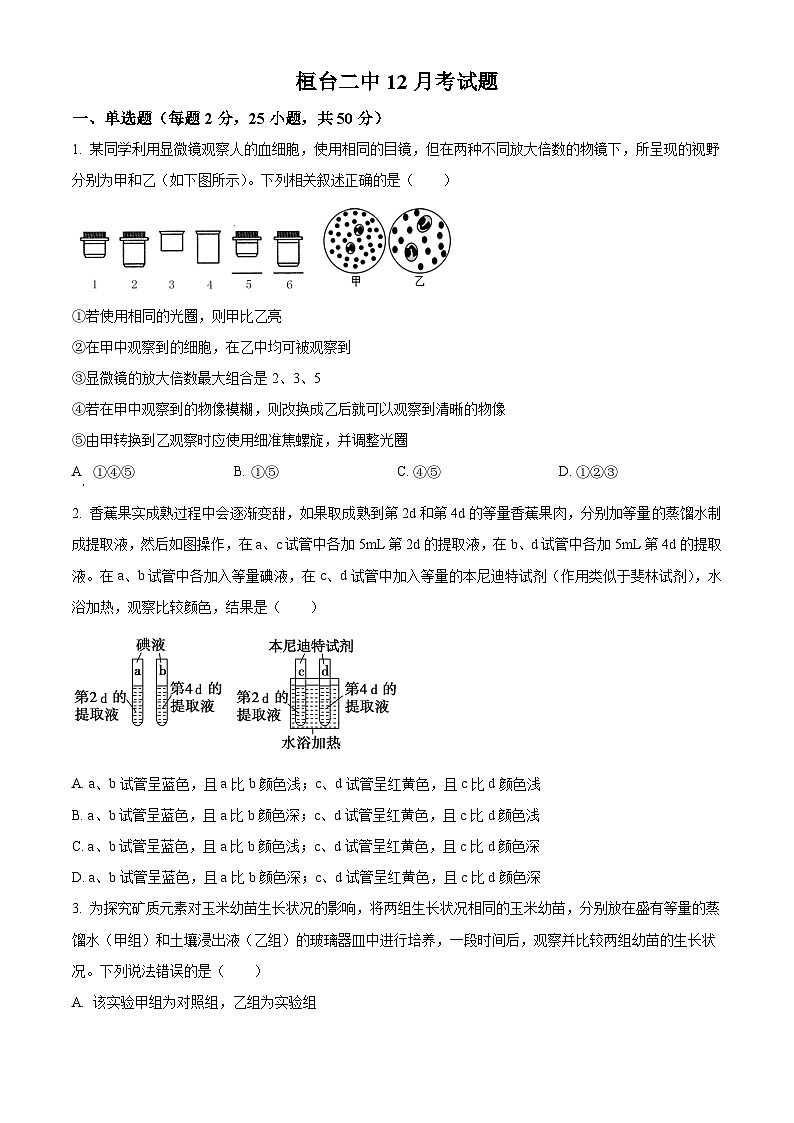 山东省淄博市桓台二中2024-2025学年高一上学期12月月考生物试题第1页