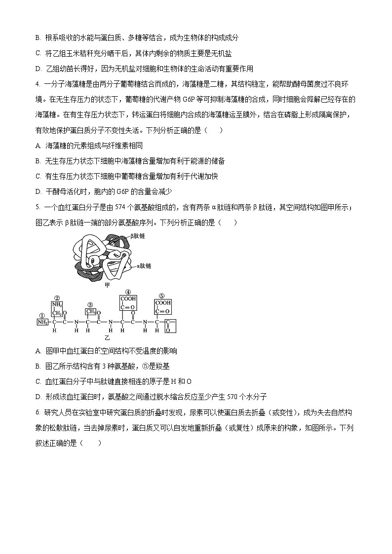 山东省淄博市桓台二中2024-2025学年高一上学期12月月考生物试题第2页