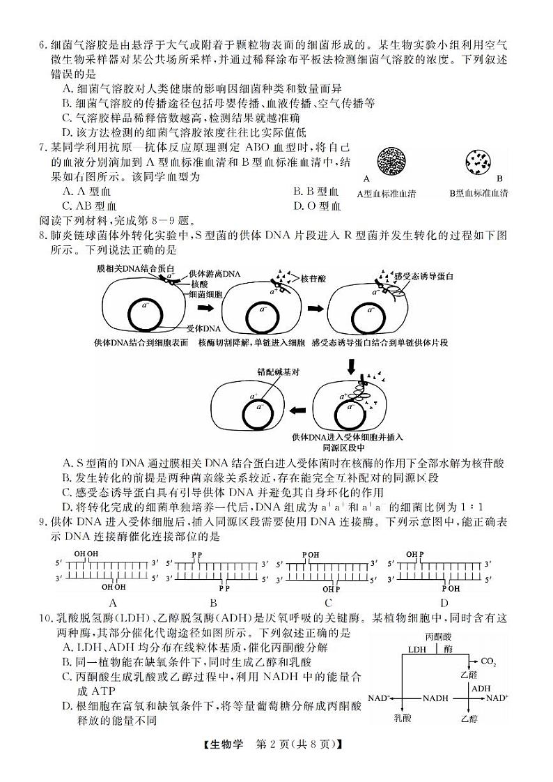 生物卷-2412强基联盟高三联考第2页