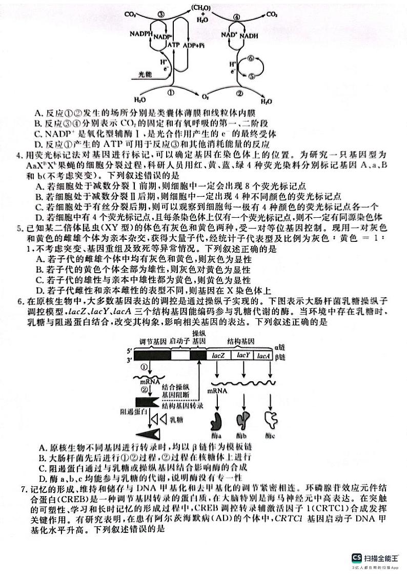 σ«ëσ╛╜τ£üτÜûσìùσà½µí2024-2025σ¡ªσ╣┤Θ½ÿΣ╕ëΣ╕èσ¡ªµ£ƒτ¼¼Σ║îµ¼íσñºΦüöΦÇâτöƒτë⌐Φ»òΘóÿ第2页
