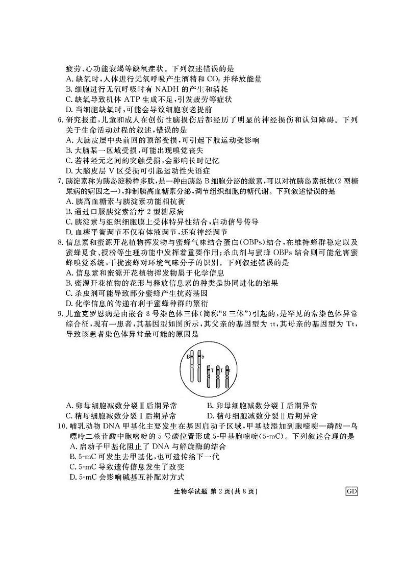 2025广东省衡水金卷高三上学期12月联考生物试题扫描版含答案第2页