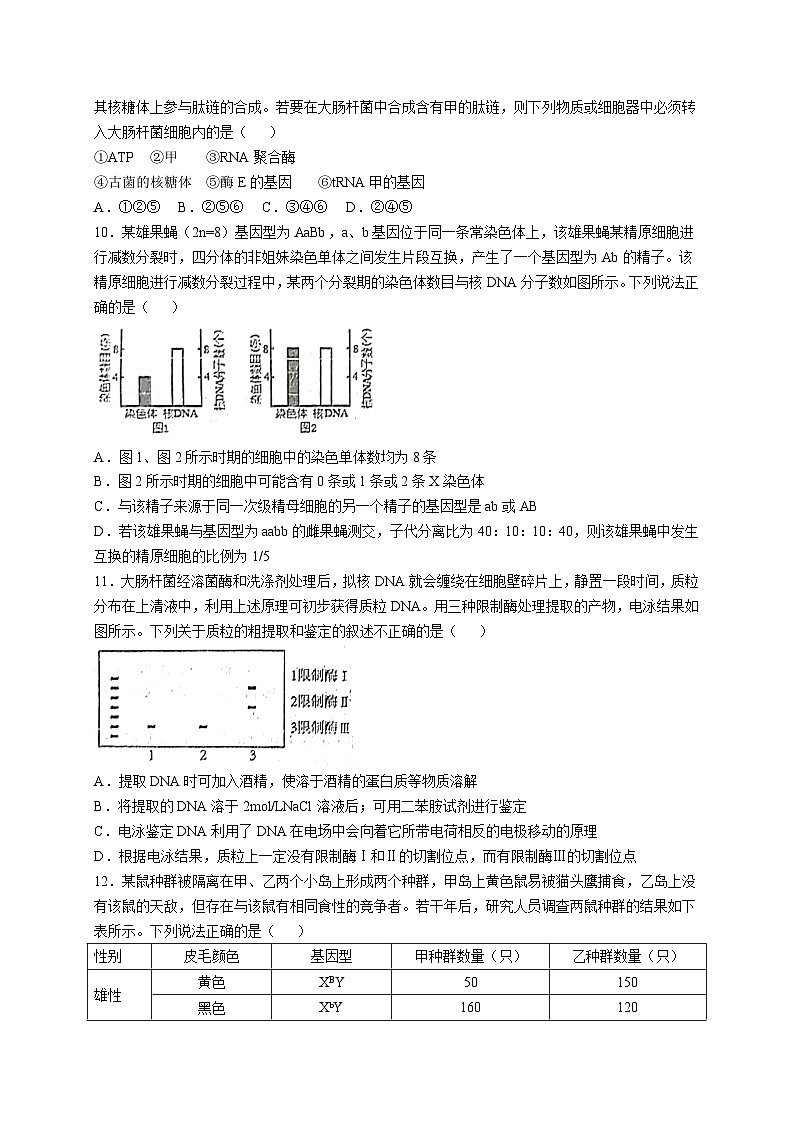 2025南充阆中东风学校高三上学期12月月考生物试题含答案第3页