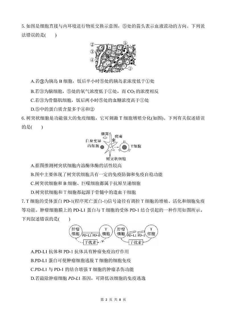 海南省创新中学协作校2024-2025学年高二上学期12月月考生物试题第2页