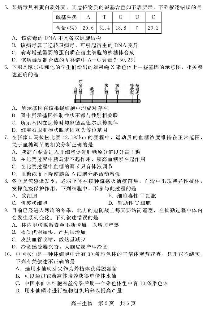 河北省新时代NT教育2024—2025学年高三上学期12月阶段测试生物试题第2页