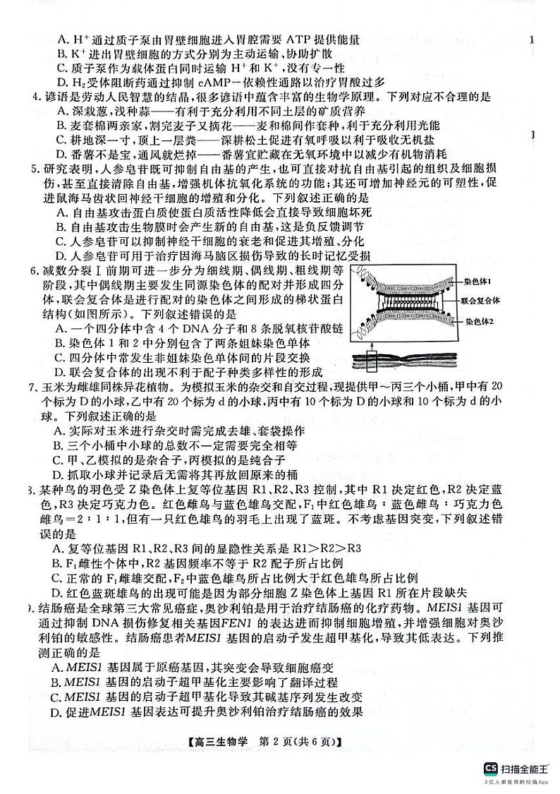 河南省名校联盟2024-2025学年高三上学期12月月考生物试题第2页