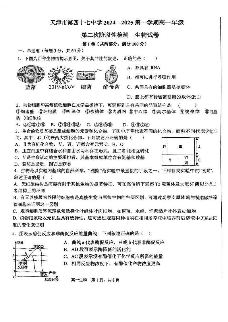 天津市北辰区天津市第四十七中学2024-2025学年高一上学期12月月考生物试题第1页