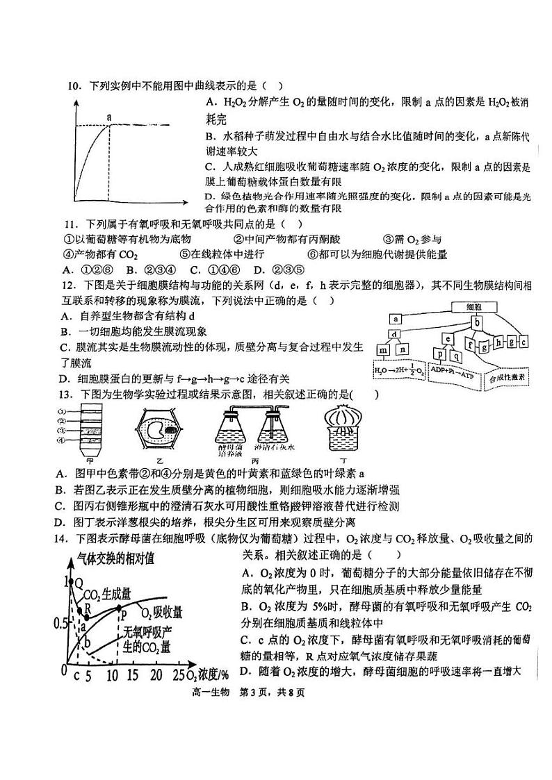天津市北辰区天津市第四十七中学2024-2025学年高一上学期12月月考生物试题第3页