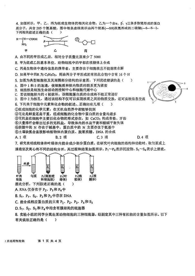 天津市南仓中学2024-2025学年高一上学期12月第二次月考生物试卷第2页