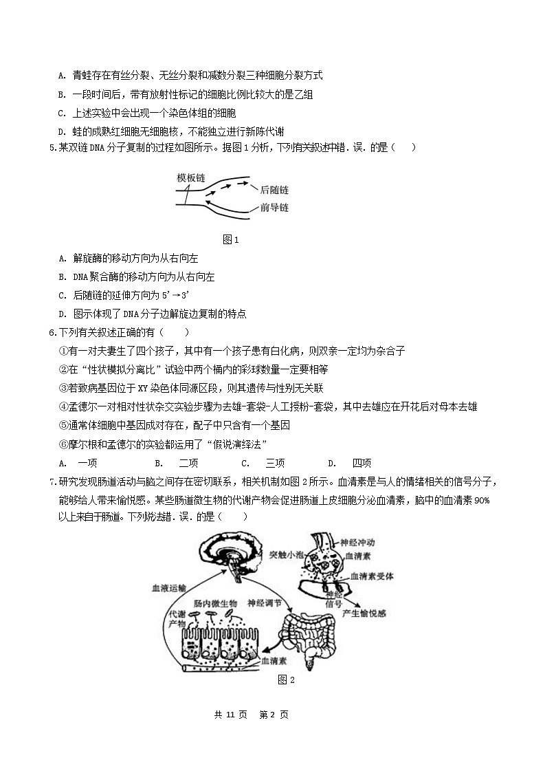 广东省六校2024-2025学年高三12月联考生物试题第2页