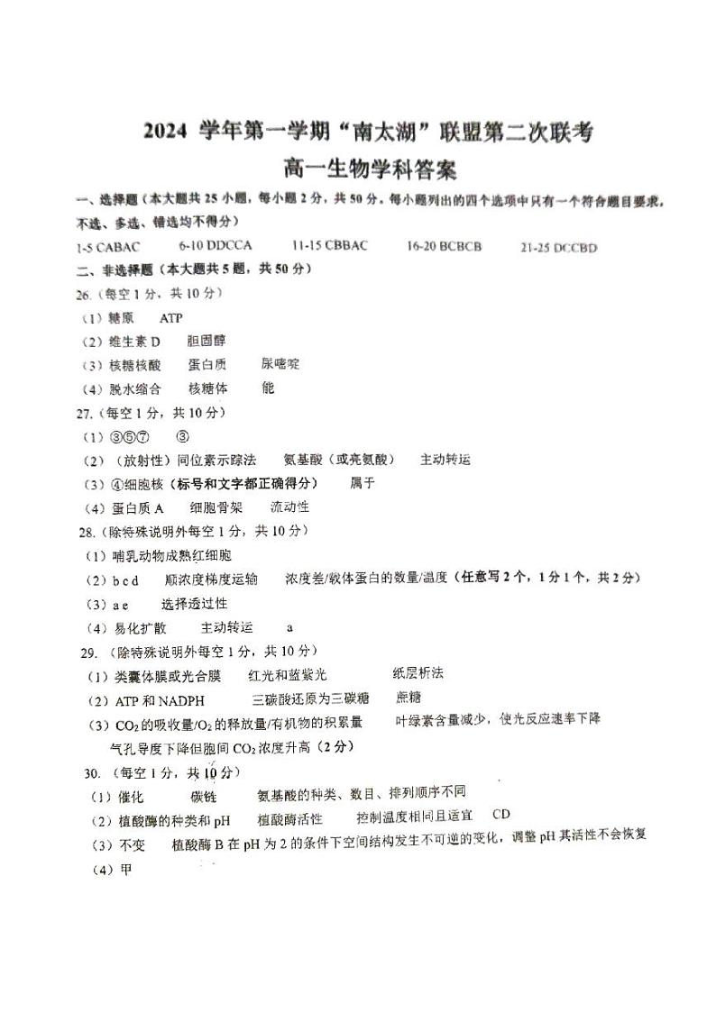 浙江省湖州市“南太湖”联盟2024-2025学年高一上学期12月月考生物答案第1页