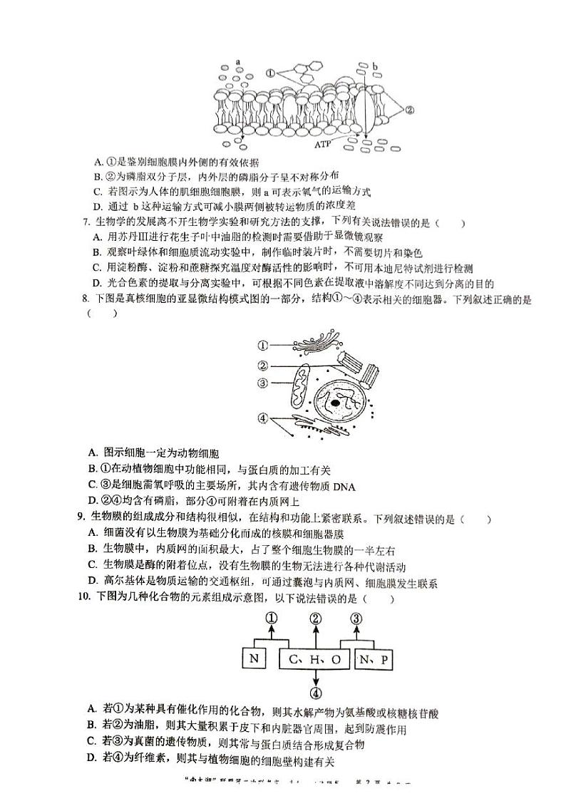 浙江省湖州市“南太湖”联盟2024-2025学年高一上学期12月月考生物试题第2页