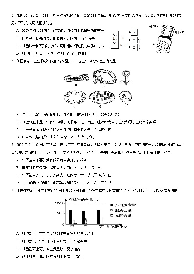 2024级高一上学期半期考试生物试题第2页