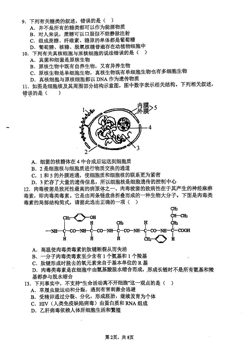 福建省福州第一中学2024—2025学年高一上学期期中考试生物试题第2页