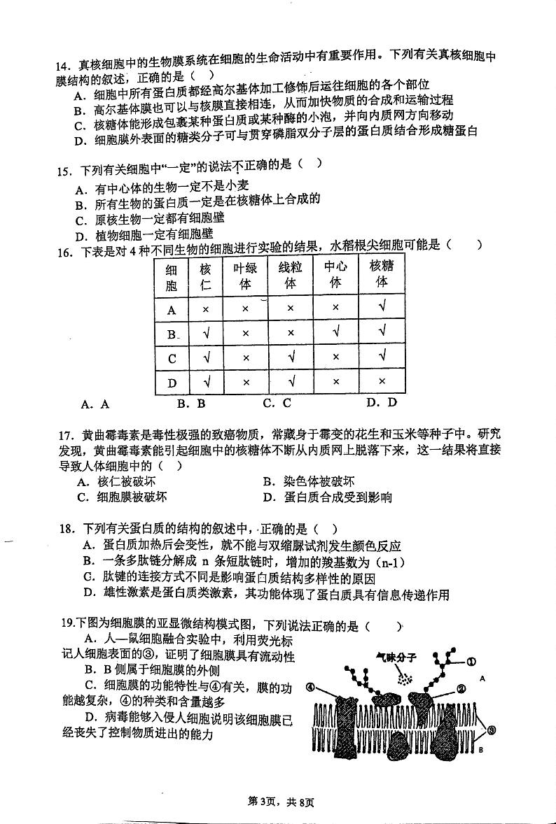 福建省福州第一中学2024—2025学年高一上学期期中考试生物试题第3页