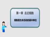 人教版 (2019) 必修1《分子与细胞》1.1细胞是生命活动的基本单位精品ppt课件