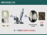 人教版 (2019) 必修1《分子与细胞》1.1细胞是生命活动的基本单位精品ppt课件