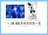人教版 (2019) 必修1《分子与细胞》1.2细胞的多样性和统一性课件ppt