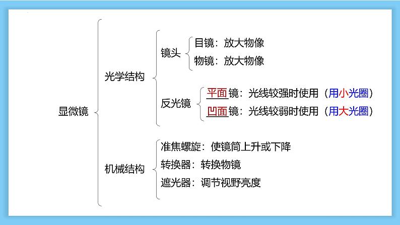 人教版 (2019) 必修1《分子与细胞》1.2细胞的多样性和统一性课件ppt第6页