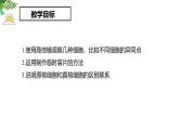 人教版 (2019) 必修1《分子与细胞》1.2细胞的多样性和统一性精品课件