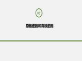 人教版 (2019) 必修1《分子与细胞》1.2细胞的多样性和统一性第2课时课件