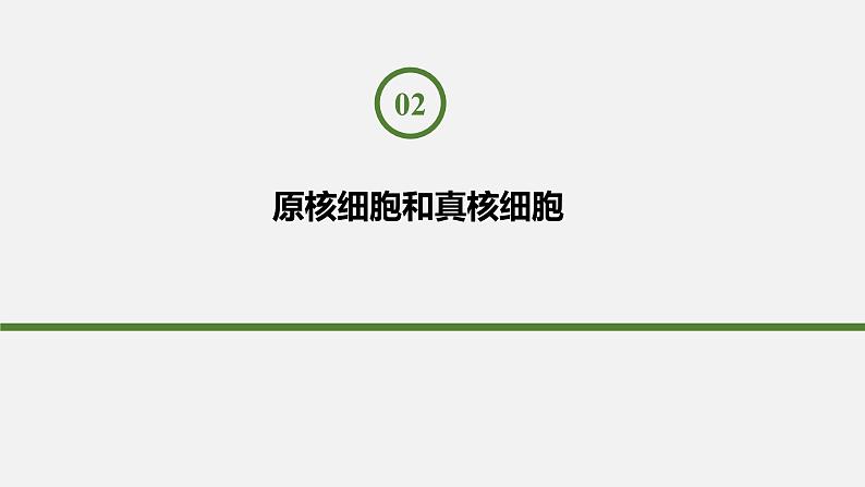 人教版 (2019) 必修1《分子与细胞》1.2细胞的多样性和统一性第2课时课件第3页