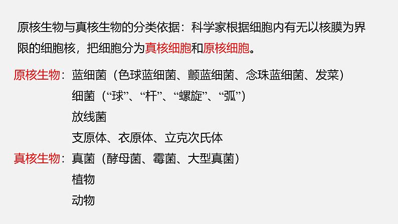 人教版 (2019) 必修1《分子与细胞》1.2细胞的多样性和统一性第2课时课件第6页