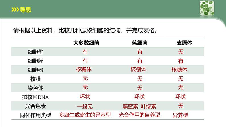 人教版 (2019) 必修1《分子与细胞》1.2细胞的多样性和统一性第2课时ppt课件第8页