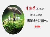 人教版 (2019) 必修1《分子与细胞》1.2细胞的多样性和统一性第1课时课件