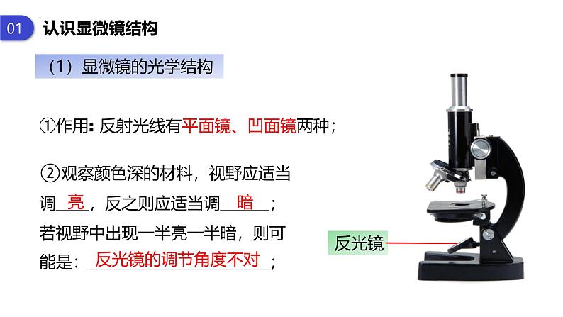 人教版 (2019) 必修1《分子与细胞》1.2细胞的多样性和统一性第1课时ppt课件第5页