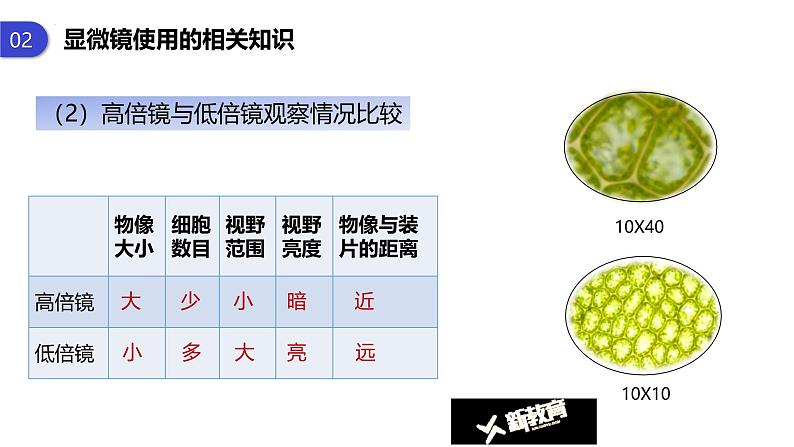 人教版 (2019) 必修1《分子与细胞》1.2细胞的多样性和统一性第1课时ppt课件第8页