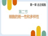人教版 (2019) 必修1《分子与细胞》1.2细胞的多样性和统一性ppt精品课件