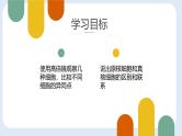 人教版 (2019) 必修1《分子与细胞》1.2细胞的多样性和统一性ppt精品课件