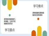 人教版 (2019) 必修1《分子与细胞》1.2细胞的多样性和统一性ppt精品课件