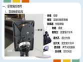 人教版 (2019) 必修1《分子与细胞》1.2细胞的多样性和统一性ppt精品课件